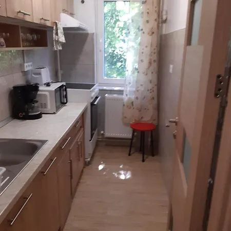Apartment Mamaia *